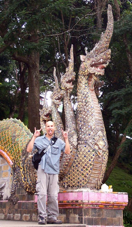 Fool_and_Dragons