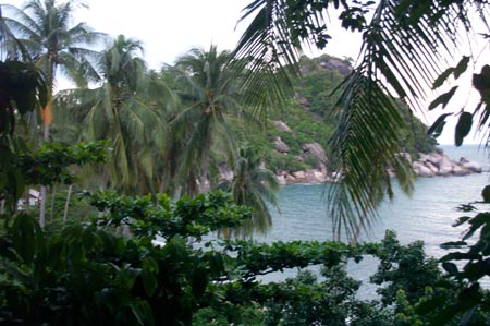 porch_view